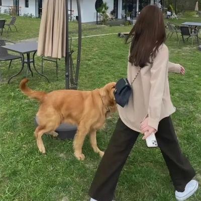 情之敌